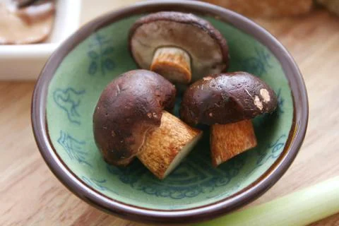 Mushrooms Stock Photos