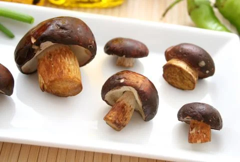 Mushrooms Stock Photos