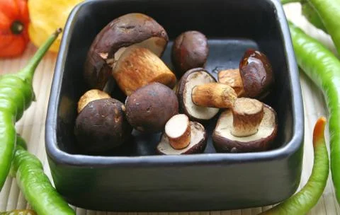 Mushrooms Stock Photos
