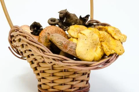 Mushrooms Stock Photos