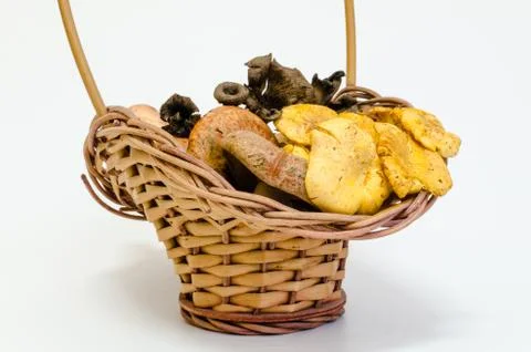 Mushrooms Stock Photos