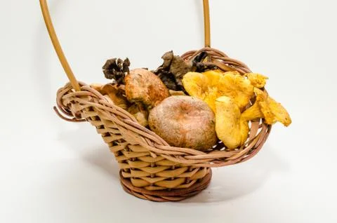 Mushrooms Stock Photos