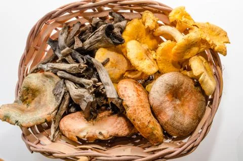 Mushrooms Stock Photos