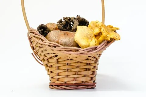 Mushrooms Stock Photos