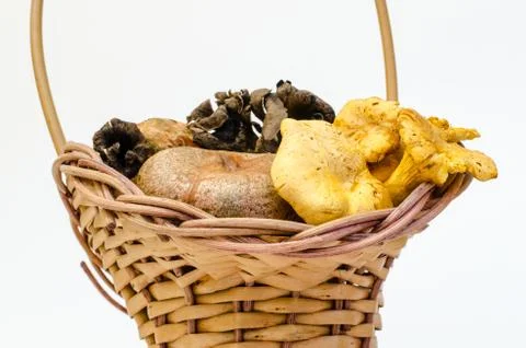 Mushrooms Stock Photos