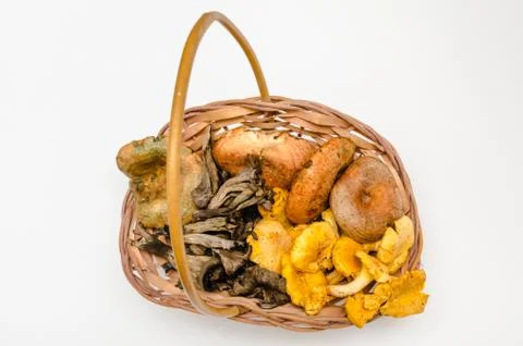 Mushrooms Stock Photos