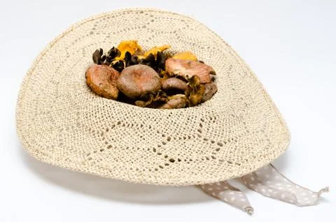 Mushrooms Stock Photos