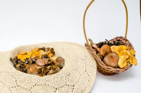 Mushrooms Stock Photos