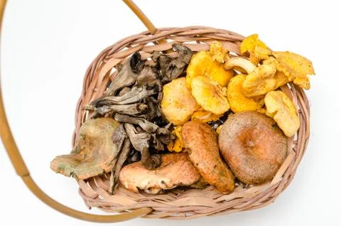 Mushrooms Stock Photos