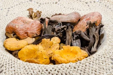 Mushrooms Stock Photos