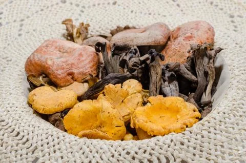 Mushrooms Stock Photos