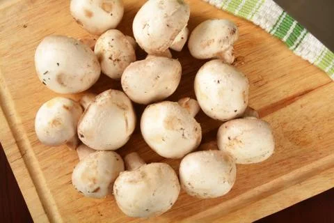 Mushrooms Stock Photos