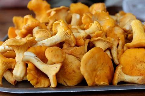 Mushrooms Foto stock