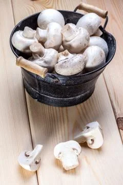 Mushrooms Stock Photos