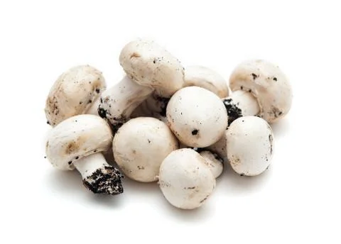 Mushrooms Stock Photos
