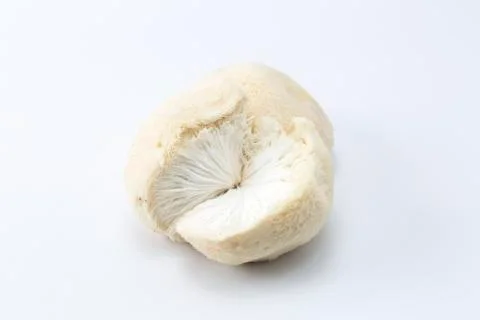 Mushrooms Stock Photos