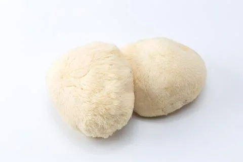 Mushrooms Stock Photos