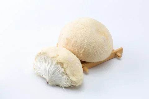 Mushrooms Stock Photos