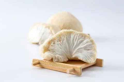 Mushrooms Stock Photos