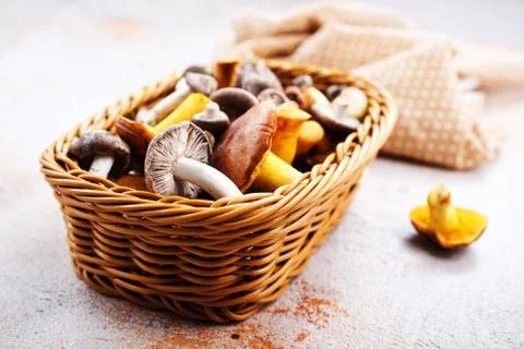Mushrooms Stock Photos