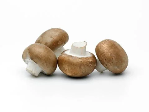 Mushrooms Stock Photos