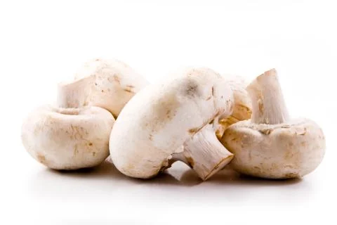Mushrooms Stock Photos