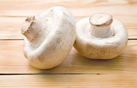 Mushrooms Stock Photos