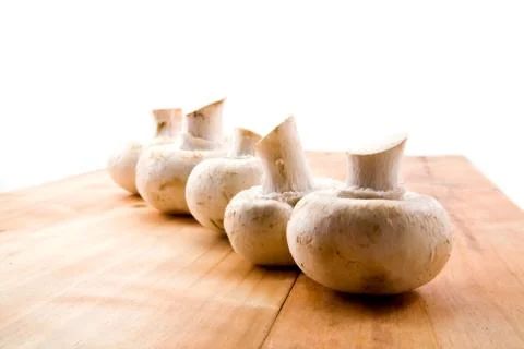 Mushrooms Stock Photos