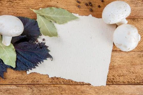 Mushrooms Stock Photos