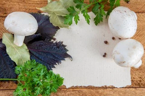 Mushrooms Stock Photos