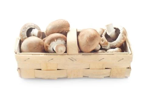 Mushrooms Stock Photos