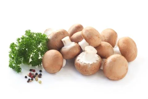 Mushrooms Stock Photos
