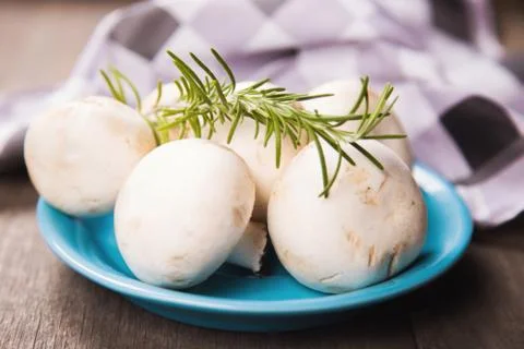 Mushrooms Stock Photos