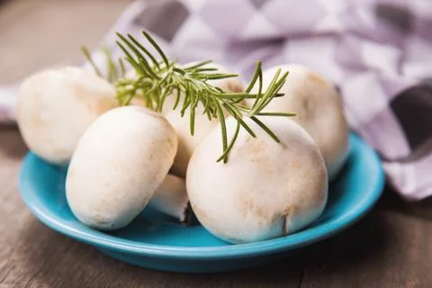 Mushrooms Stock Photos