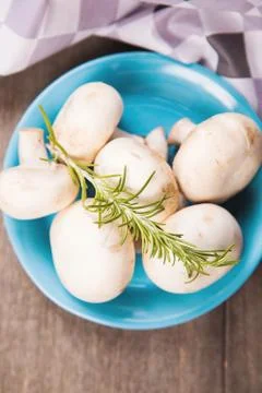 Mushrooms Stock Photos