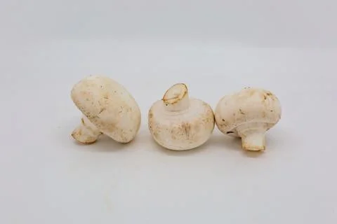 Mushrooms Stock Photos