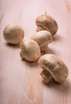 Mushrooms Stock Photos
