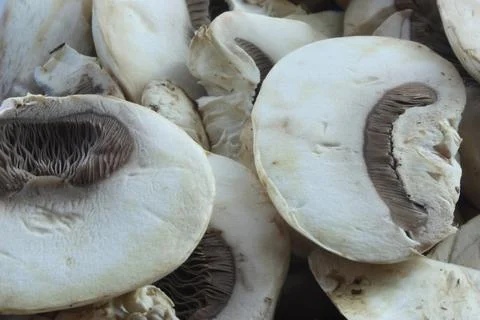 Mushrooms Foto stock