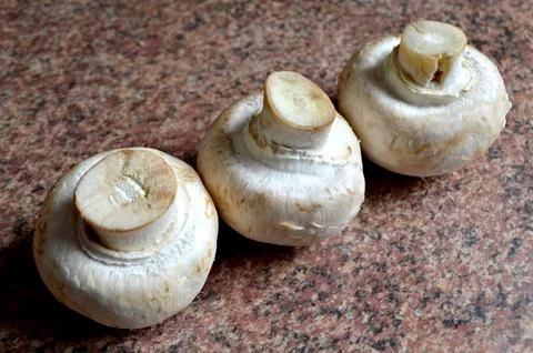 Mushrooms Stock Photos