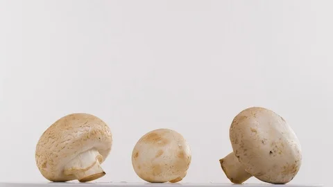 Mushrooms on a plate Stock Footage 99724791
