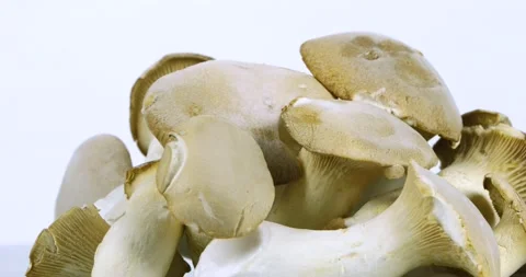Mushrooms rotating on white background 動画素材 146442633