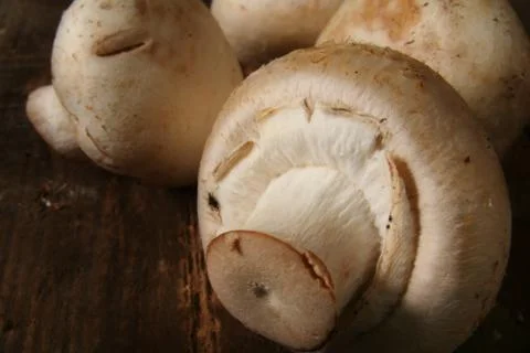 Mushrooms rustic Stock Photos