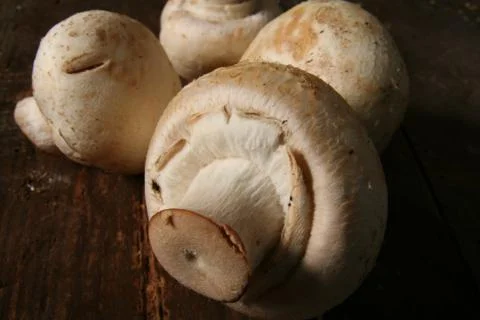 Mushrooms rustic Stock Photos