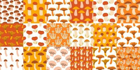 Mushrooms seamless pattern big set. Autumn mushrooms on isolated background Stock Illustration