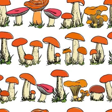 Mushrooms seamless pattern Stock Illustration