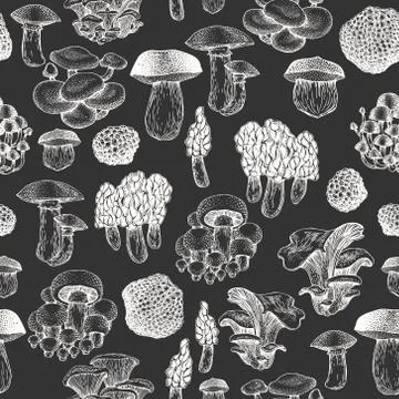 Mushrooms seamless pattern. Vector hand drawn illustrations on chalk board. M Stock Illustration