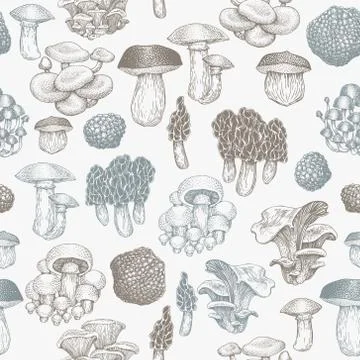 Mushrooms seamless pattern. Vector hand drawn illustrations. Mushroom in retr Stock Illustration
