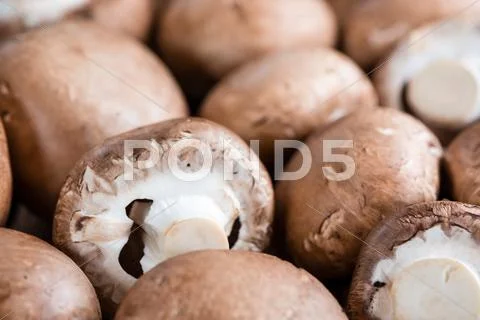 Mushrooms (selective focus) on wood Stock Photos