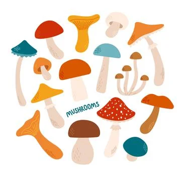Mushrooms set flat design and vector illustration Stock Illustration