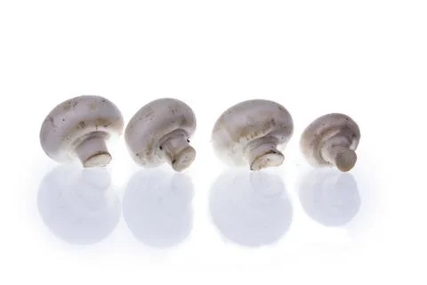 Mushrooms with shadow Stock Photos